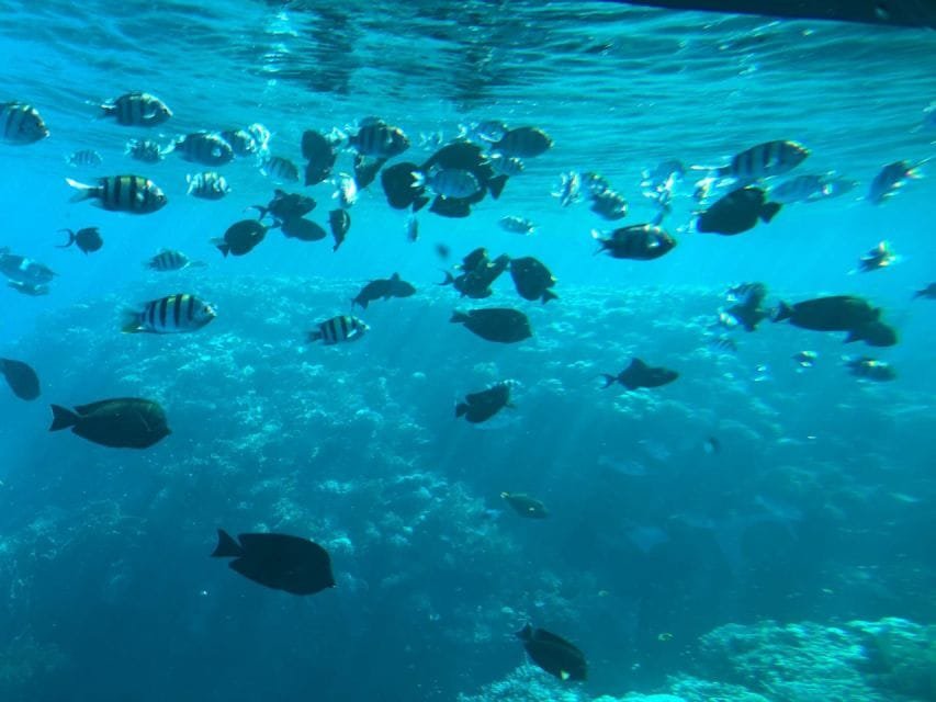 Подводная лодка «Синдбад»