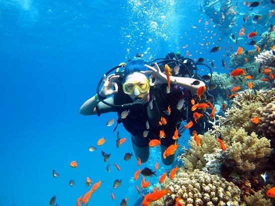 Дайвинг в Хургаде